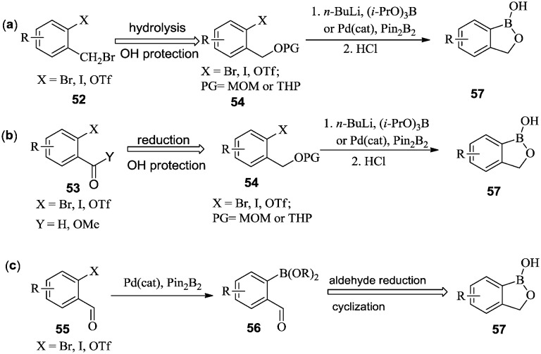 Scheme 8