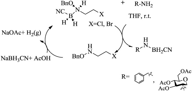 Scheme 23