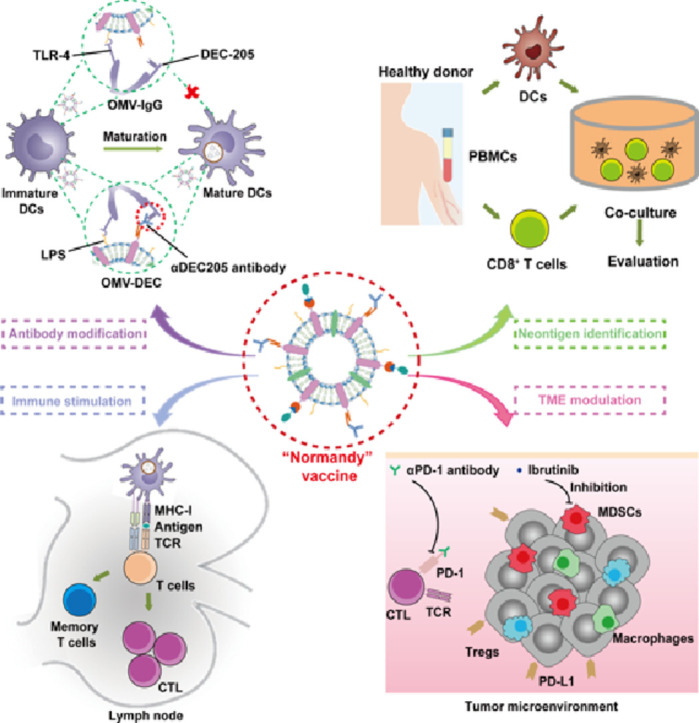 Image, graphical abstract