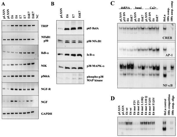 FIG. 4