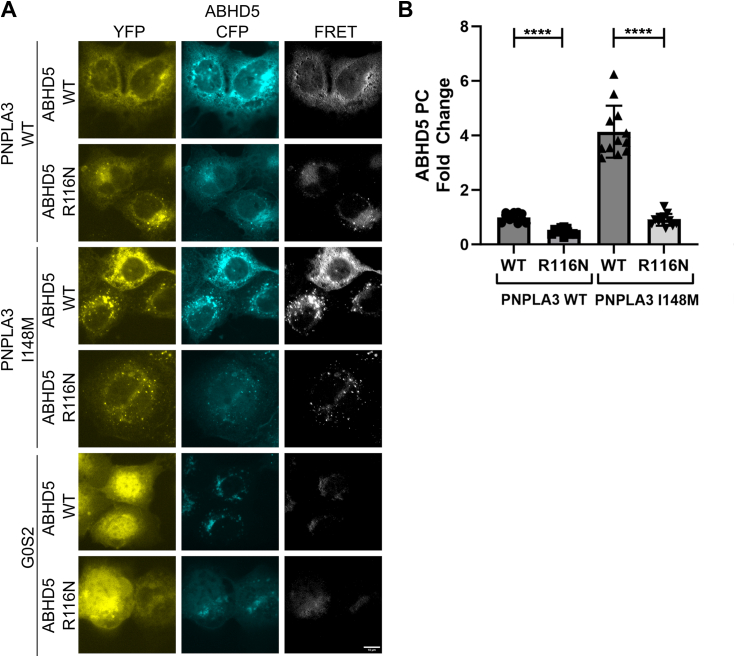Figure 2