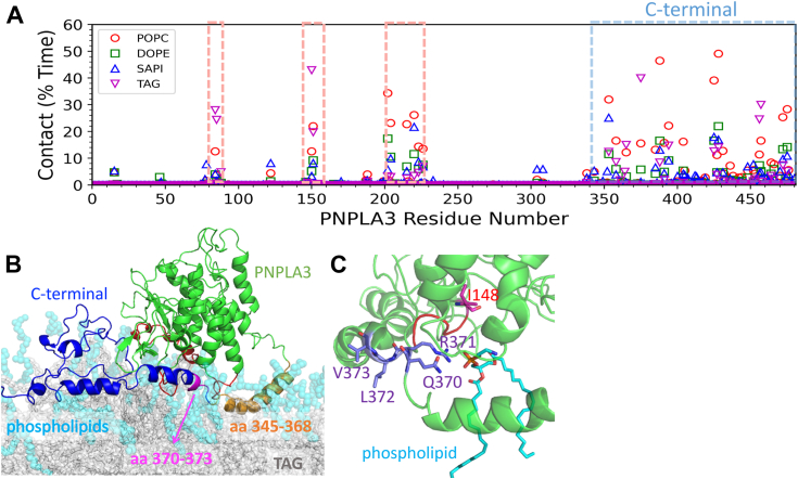 Figure 3