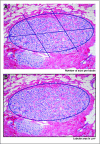 Fig 2.