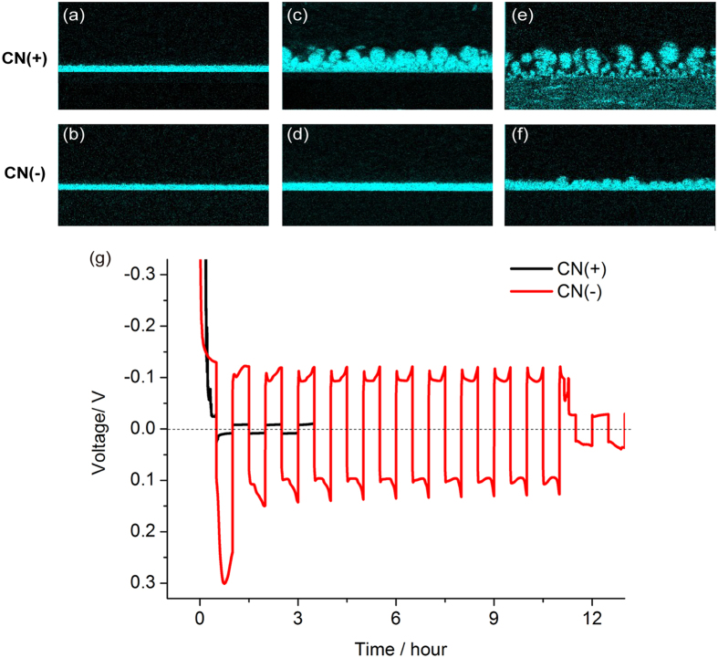 Figure 6