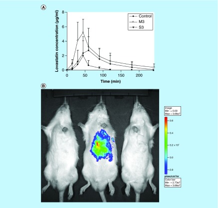 Figure 3. 