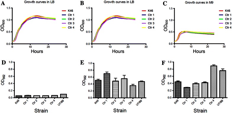 Figure 5