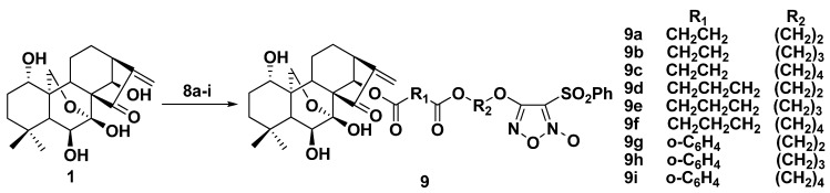 Scheme 2