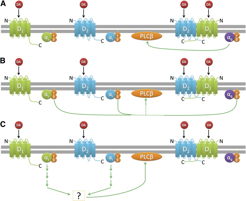 Fig. 10.