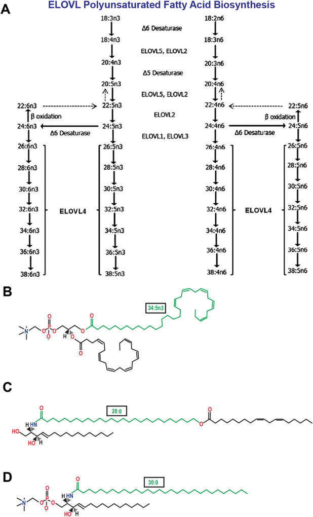 Fig. 3.