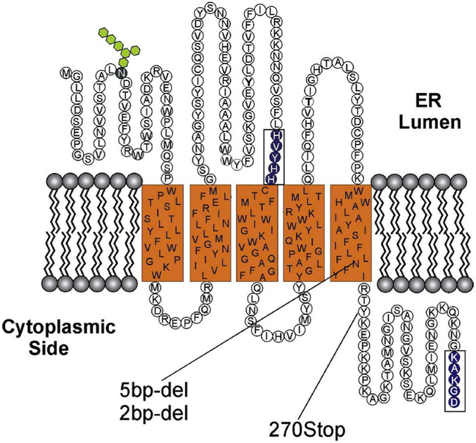 Fig. 4.