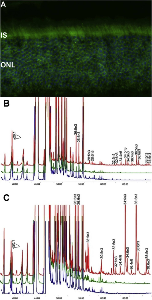 Fig. 2.