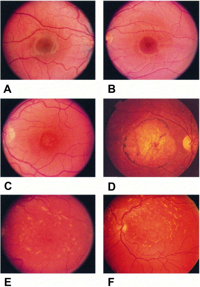 Fig. 1.