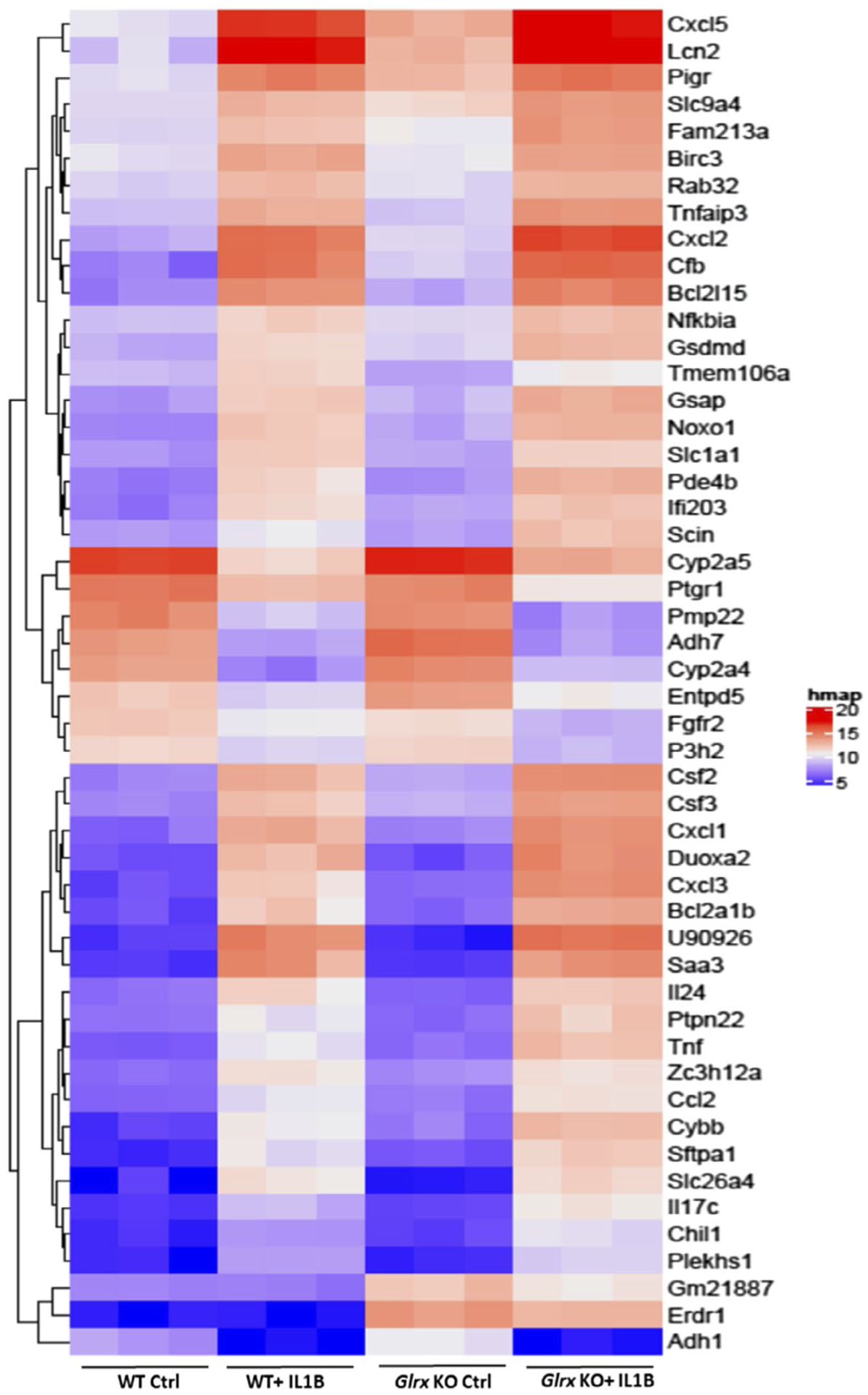 FIGURE 3