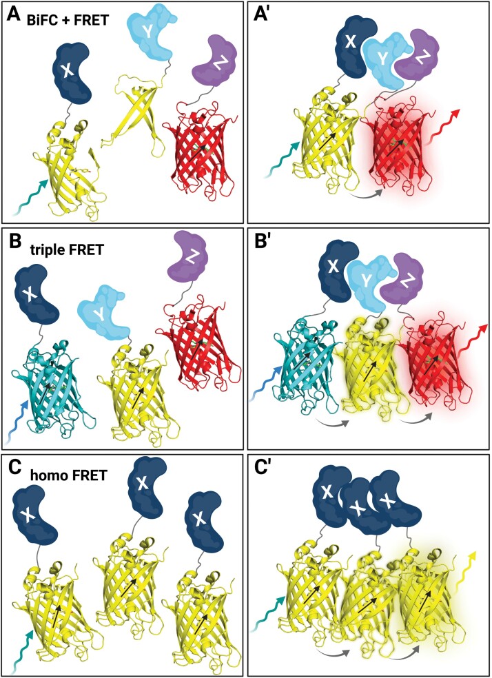 Fig. 3.