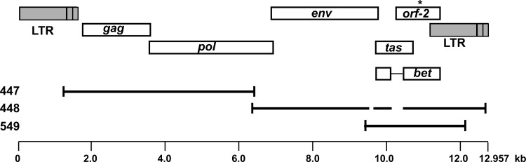 Fig 1