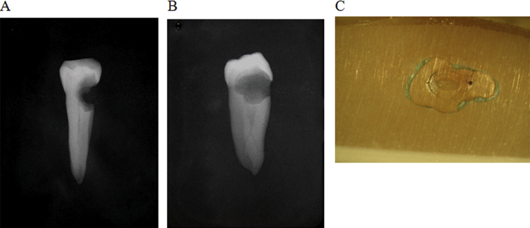 Figure 4