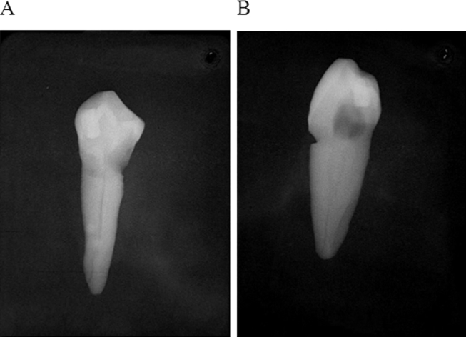 Figure 2