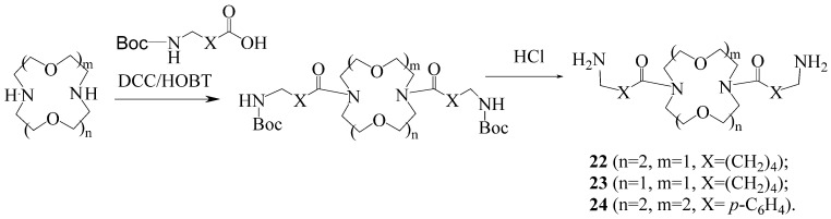 Scheme 5