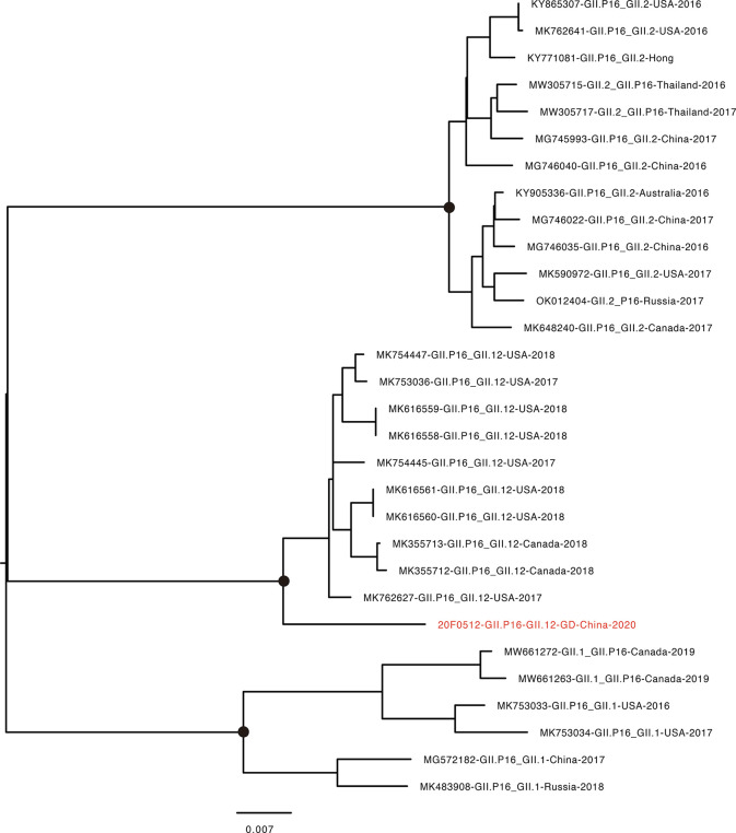 Figure 3