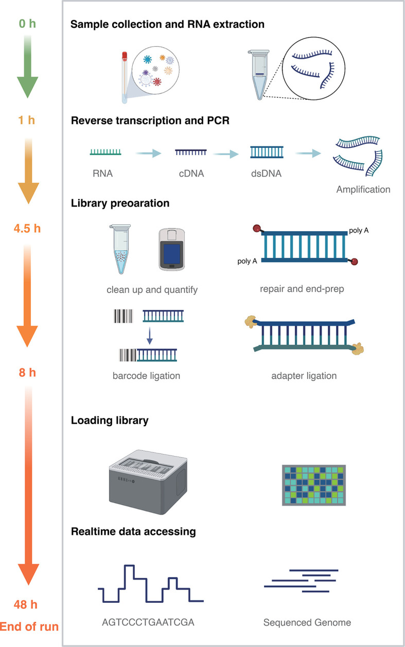 Figure 1