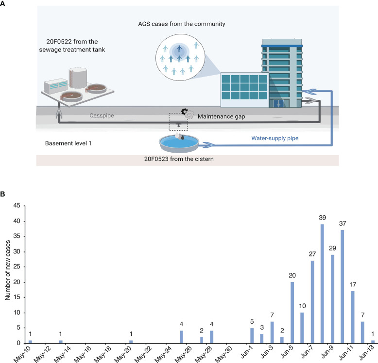 Figure 2