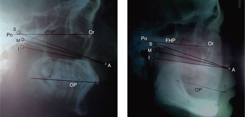 Fig. 7