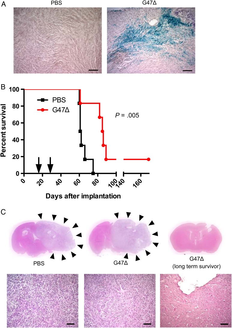 Fig. 4.