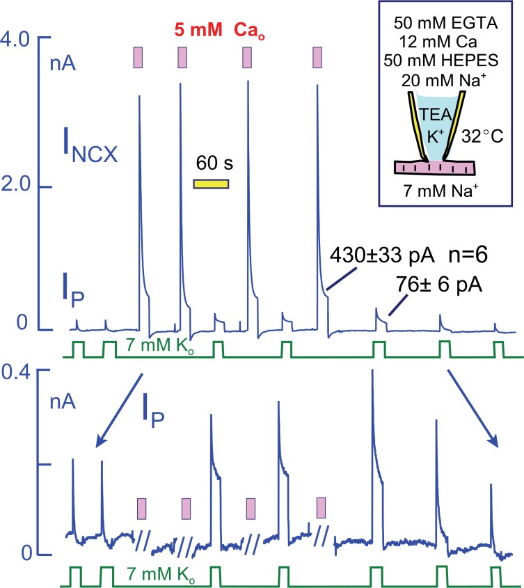 Figure 7.