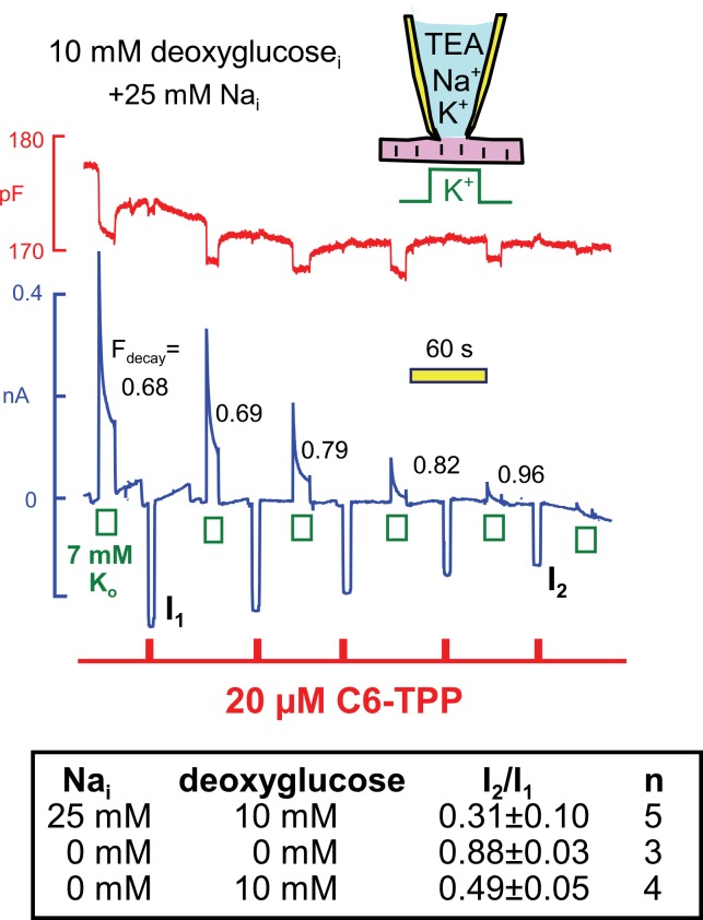 Figure 11.