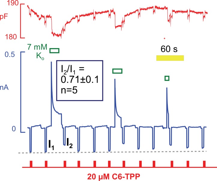 Figure 12.