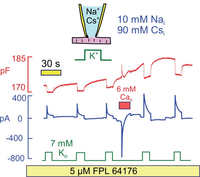 Figure 9.