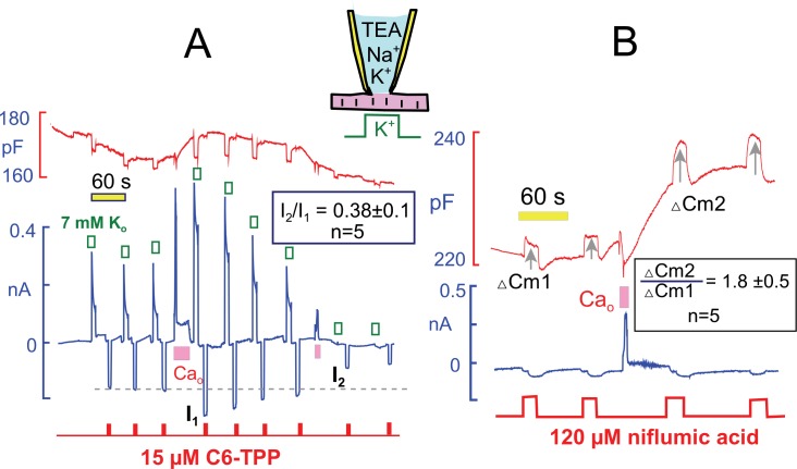 Figure 10.