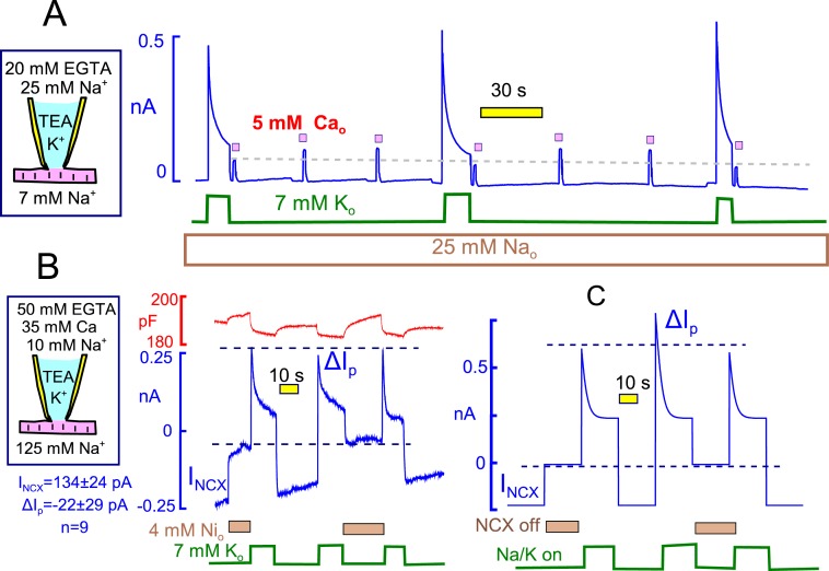 Figure 13.