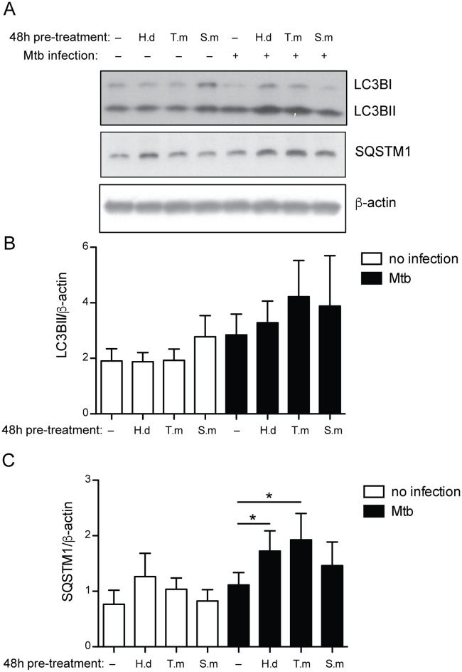 Fig 8