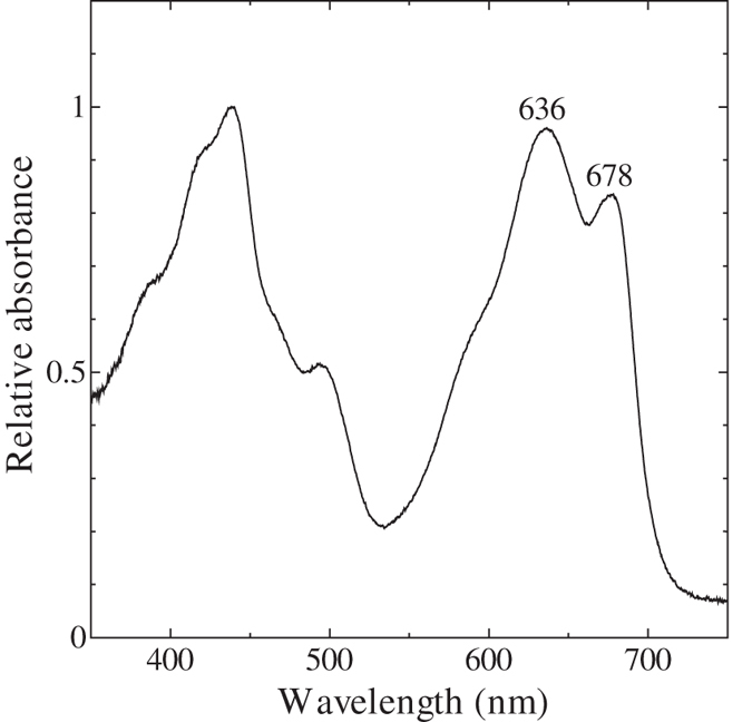 Figure 6