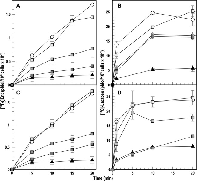 FIG 3