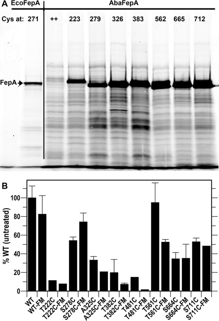 FIG 6