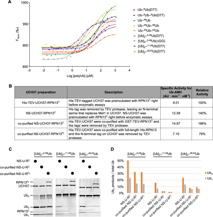 Figure 2—figure supplement 1.