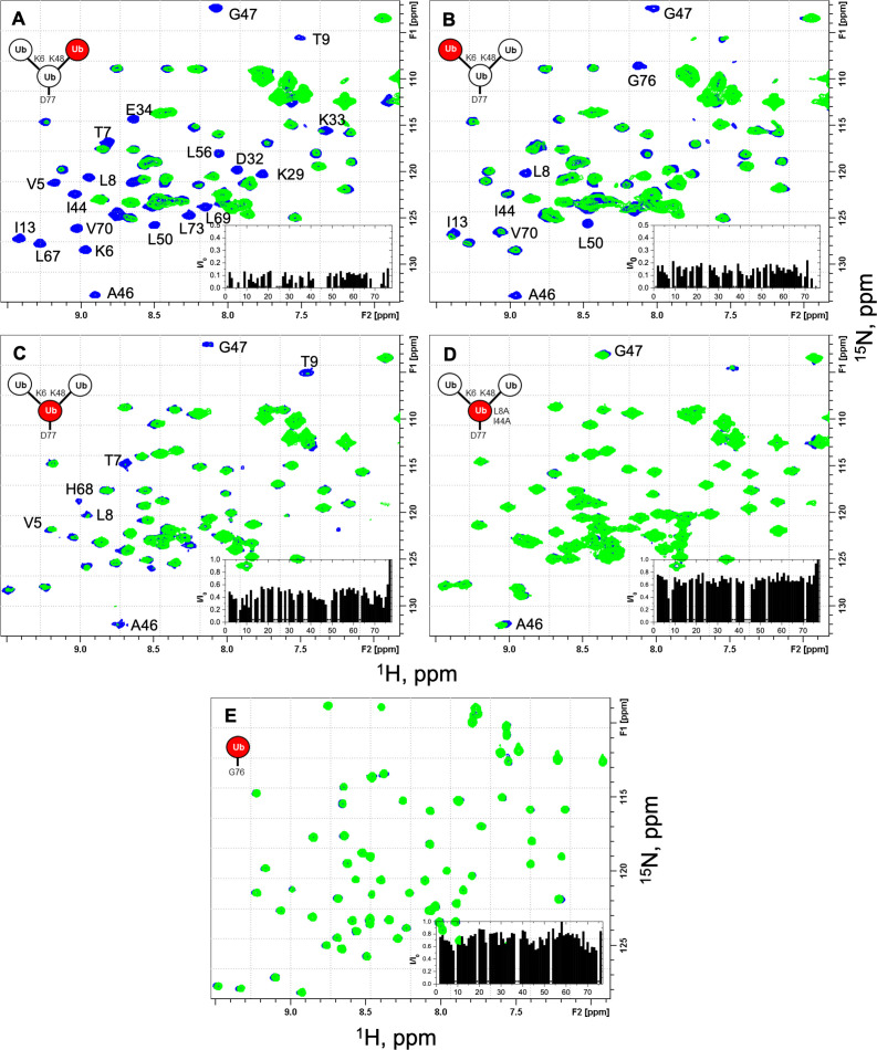 Figure 3—figure supplement 1.