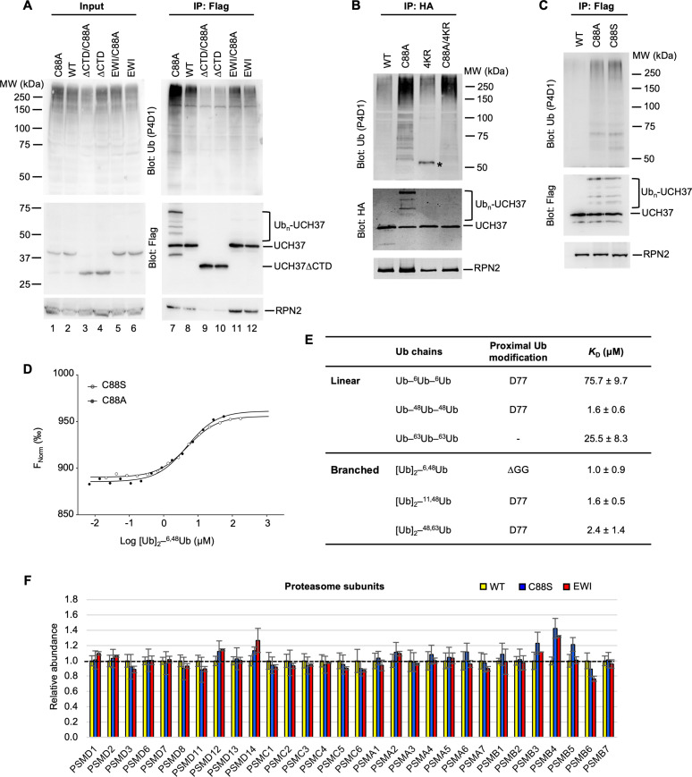 Figure 6—figure supplement 1.