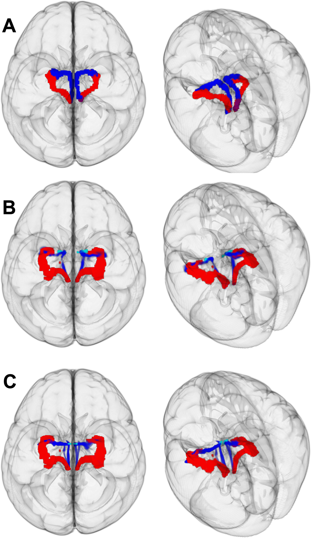 Figure 10.