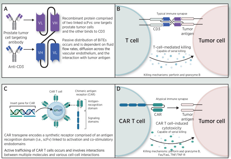 Figure 1. Mechanisms of action of BiTE antibody (A, B) and CAR-T (C, D) therapies.