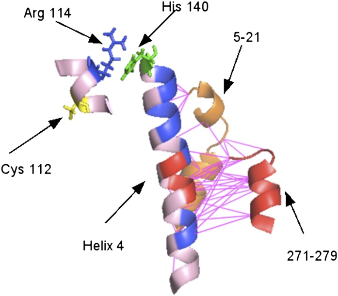 Fig. 5.