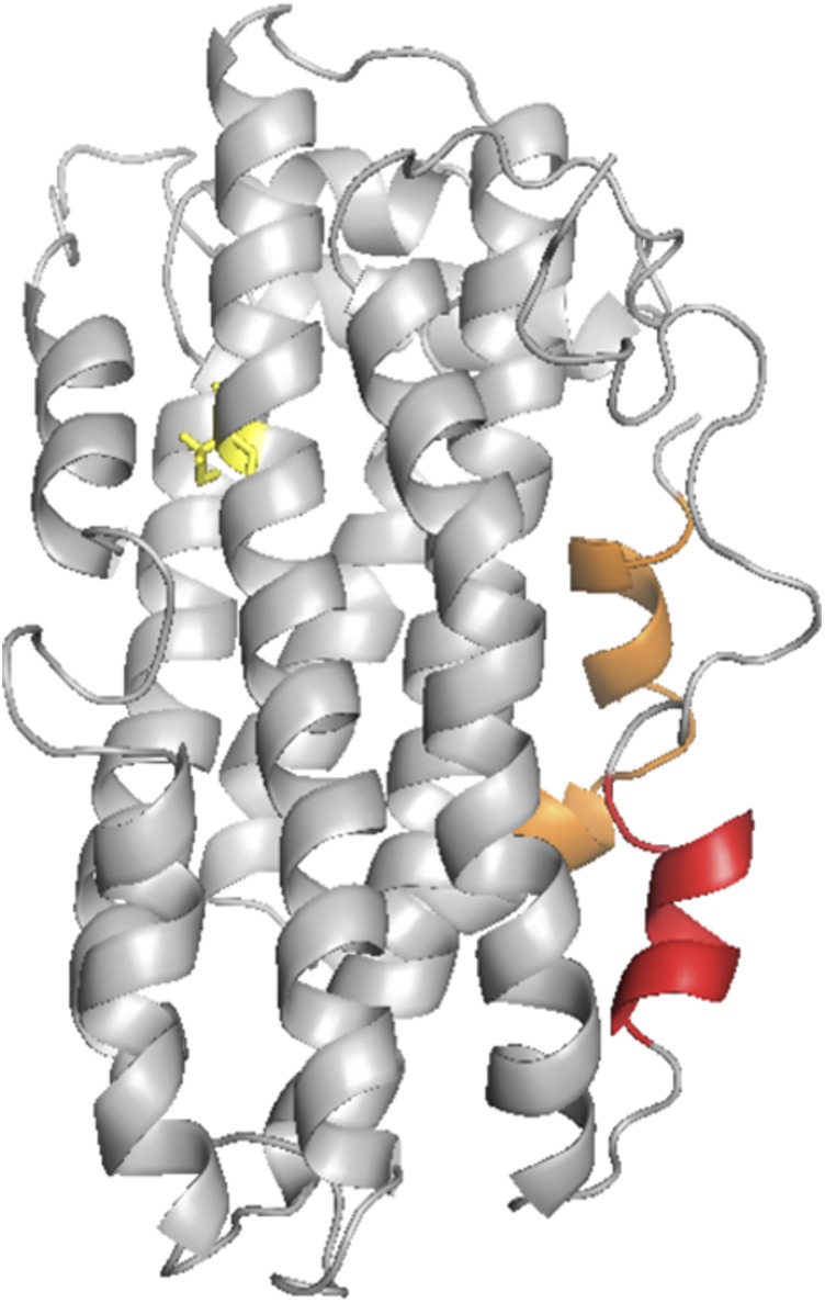 Fig. 3.