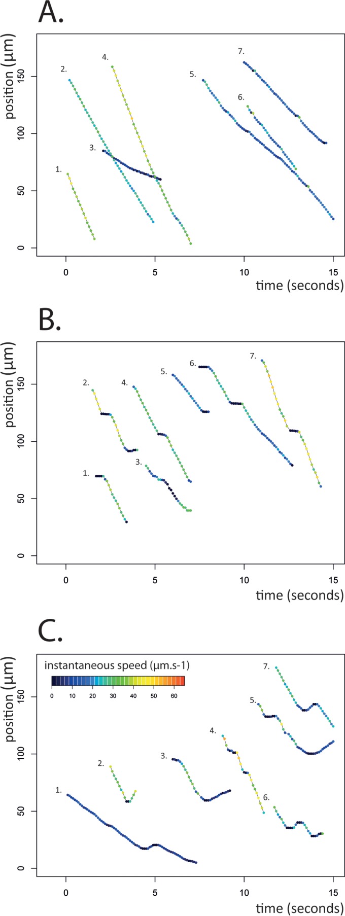 FIG 3