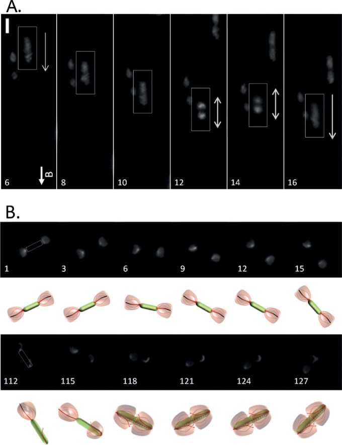 FIG 5