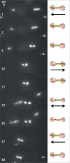 FIG 4
