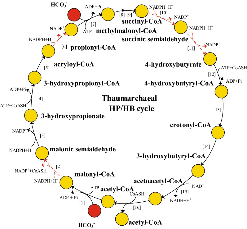 Fig. 2