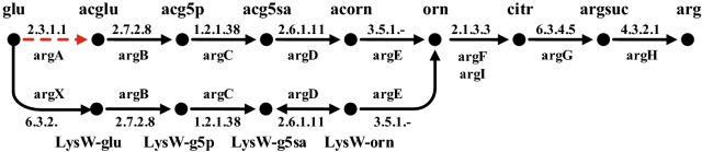 Fig. 3