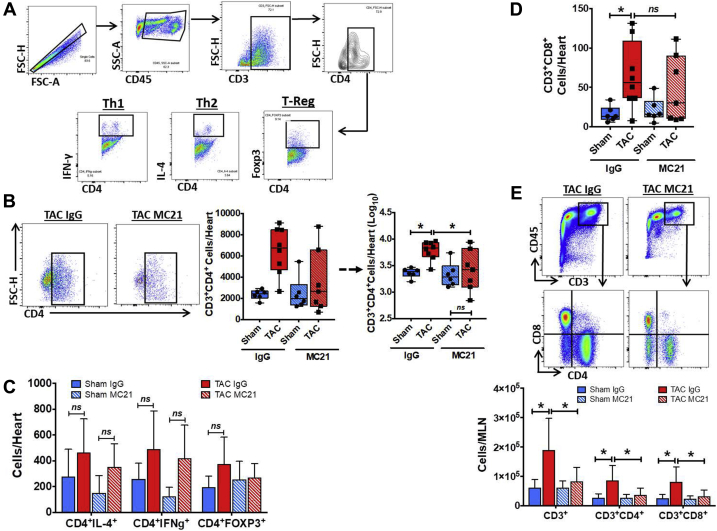 Figure 6